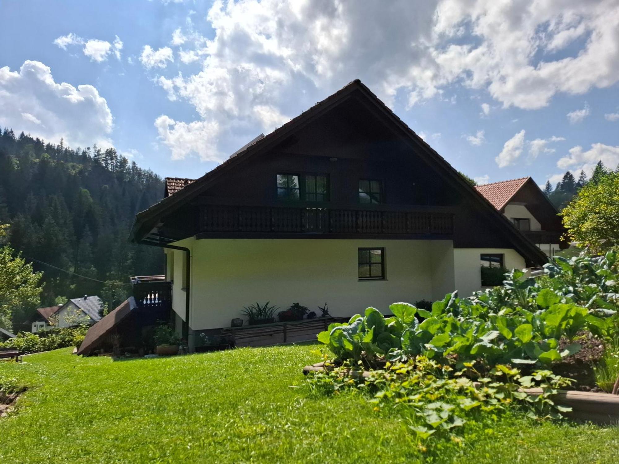 Apartma Cvrsta Trojka Jesenice Exteriér fotografie